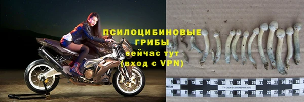 каннабис Куйбышев