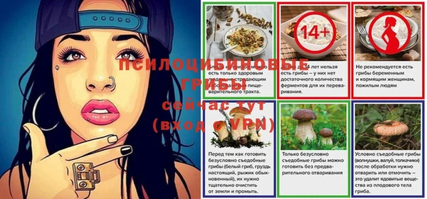 2c-b Кулебаки
