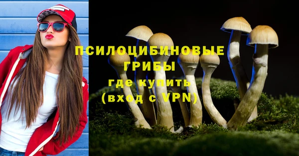 2c-b Кулебаки