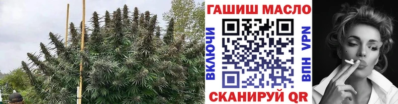 ТГК вейп с тгк Чекалин